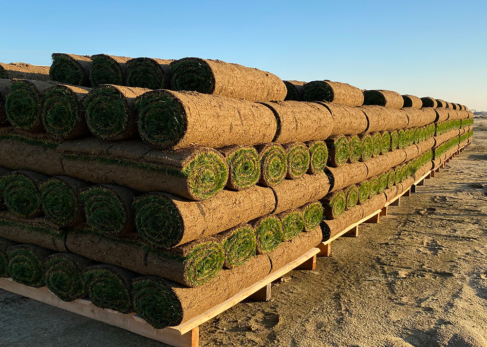 Pallets of mini-rolls of sod stacked by FireFly R300 harvester