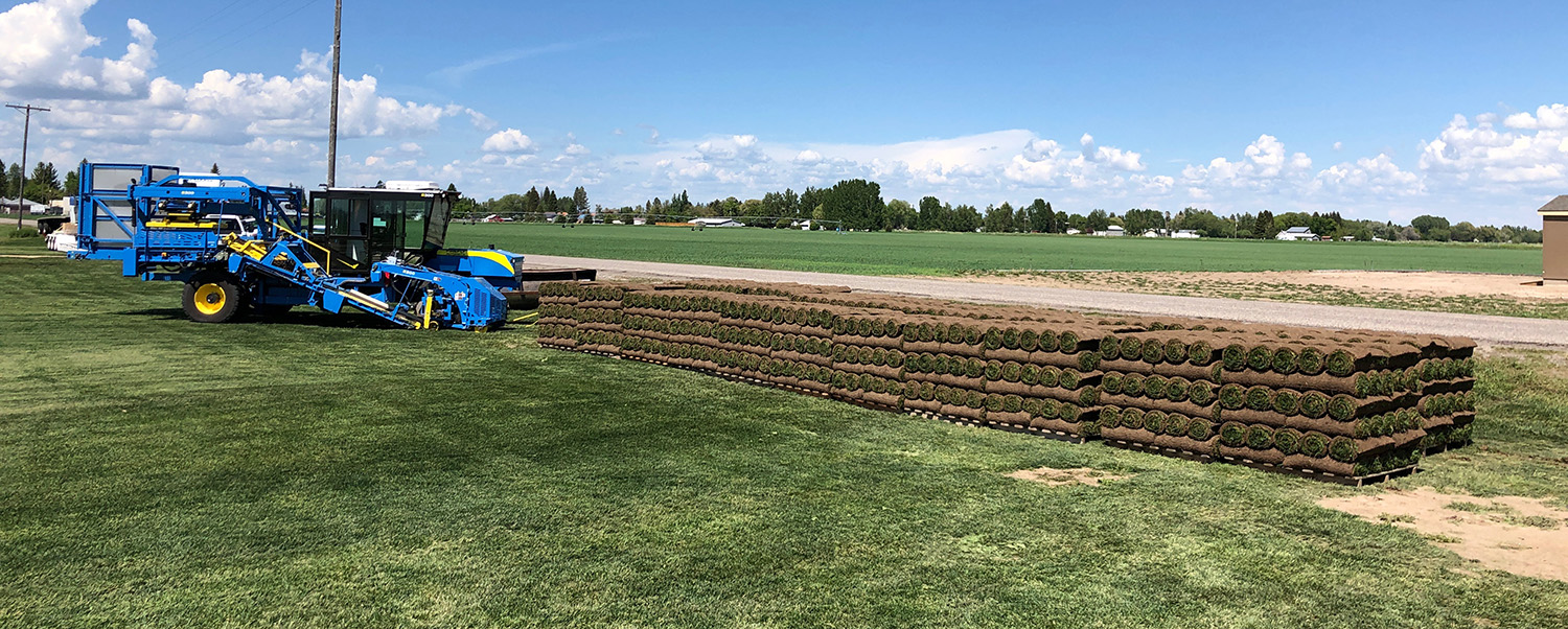 R300 with roll pallets