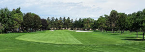 a golf course fairway mowed with a 50/50 pattern