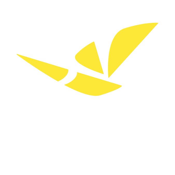 FireFly Robotics